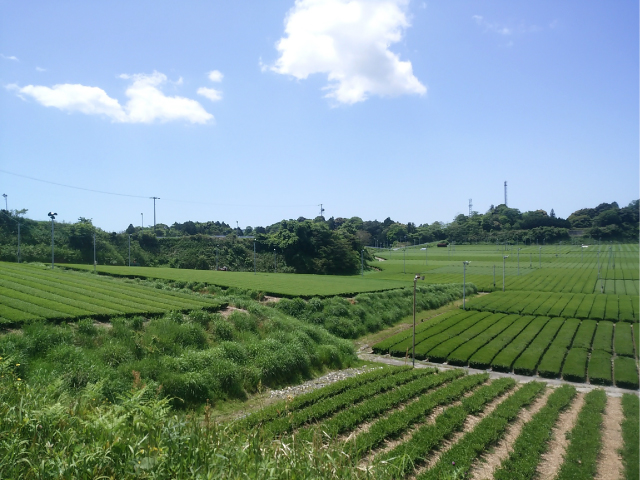 ひらの園