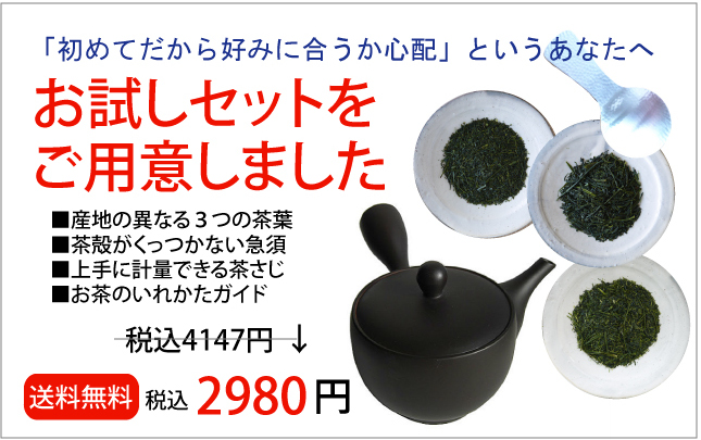送料無料 初回限定 急須と日本茶のお試しセット 茶葉3種 常滑焼急須 茶さじ いれ方ガイドつき 日本茶 ハーブ緑茶 かわいい急須の専門店 Cha Ichi Works ちゃいちわーくす 送料無料 初回限定 急須と日本茶のお試しセット 茶葉3種 常滑焼急須 茶さじ いれ方ガイドつき 日本茶 ハーブ緑茶 かわいい急須の専門店 Cha Ichi Works ちゃいちわーくす