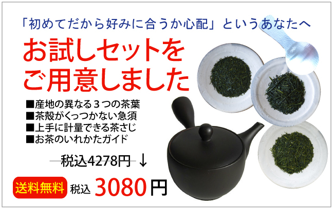 日本茶 お試しセット 急須付き お得なセット