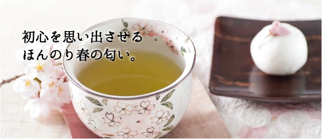 さくら煎茶ファーストビュー