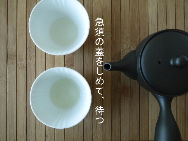 宇治 かなやみどりいれ方ホット