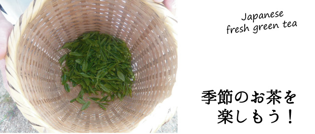 ゆたかみどり新茶ファーストビュー